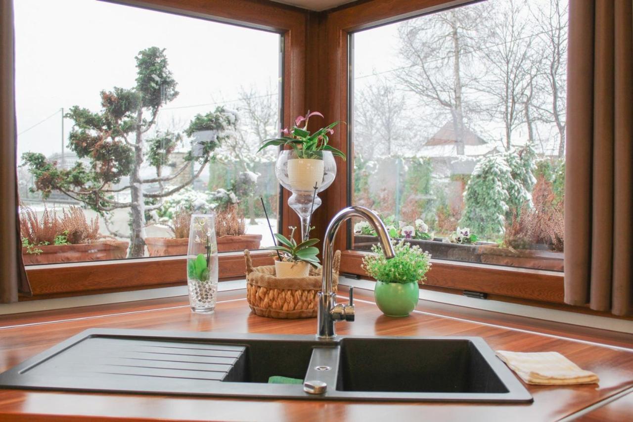 Villa Dobranic - Kuca Za Odmor Sveti Martin Na Muri Esterno foto
